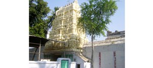 246. திருவல்லம்